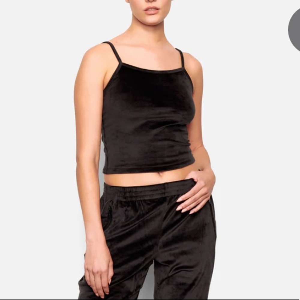 NWT SKIMS Velour Soot Crop Top